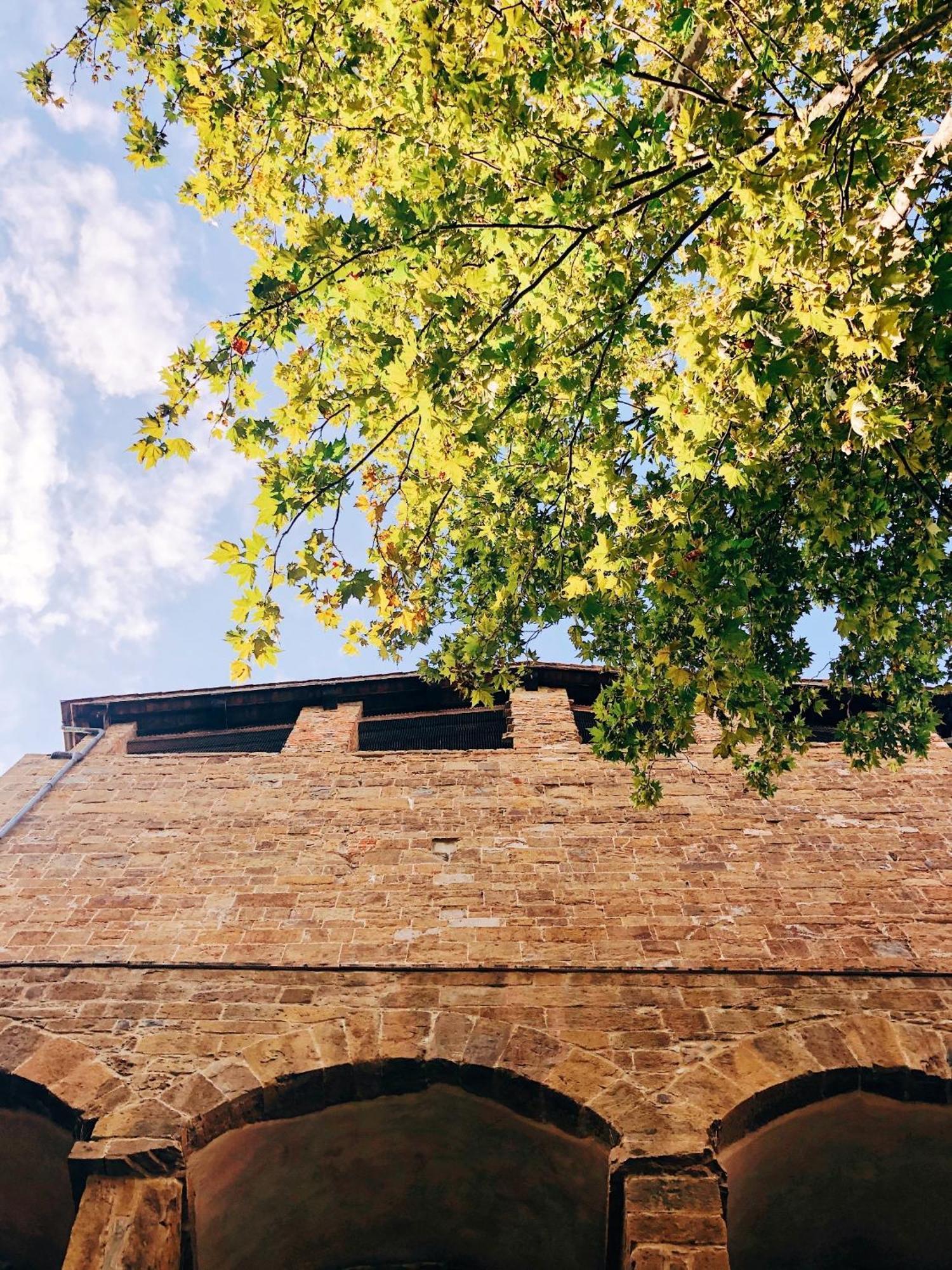 Appartamento D'Arte, L'Oasi Florence Buitenkant foto